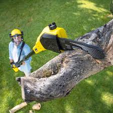Best Lawn Mowing  in Hawkins, TX