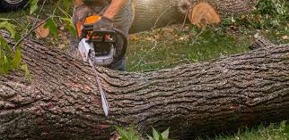 Best Landscape Design and Installation  in Hawkins, TX