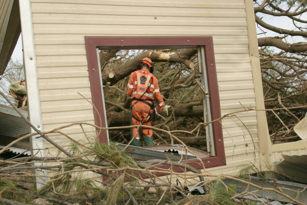 Best Tree Maintenance Programs  in Hawkins, TX